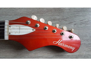Harmony (String Instruments) H19
