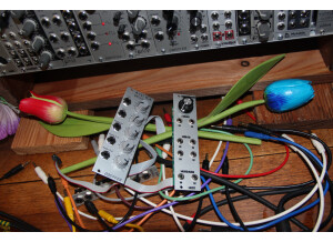 Intellijel Designs Dixie II+ (41677)