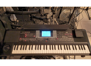 Korg face