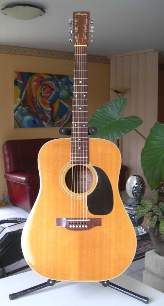 maya 12 string guitar