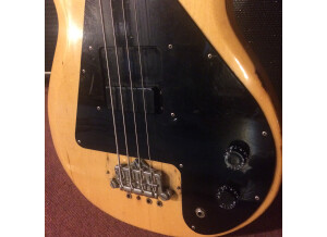 Gibson Grabber 3 '70s Tribute Bass