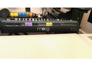 Moog Music Matriarch (83983)