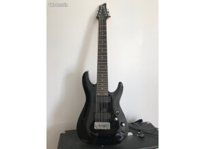 Schecter 1