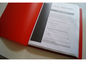 Roland SH-201 (62128)