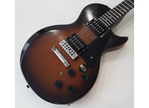 Gibson The Paul (33629)