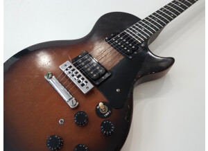 Gibson The Paul (91610)