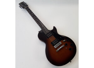 Gibson The Paul (57731)