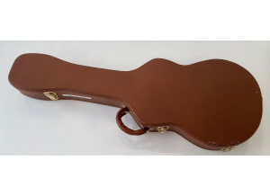 Gibson The Paul (32333)