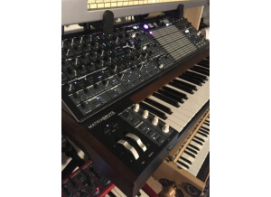 Arturia MatrixBrute (88619)