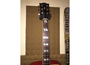 Gibson Dove Antique Cherry (77731)