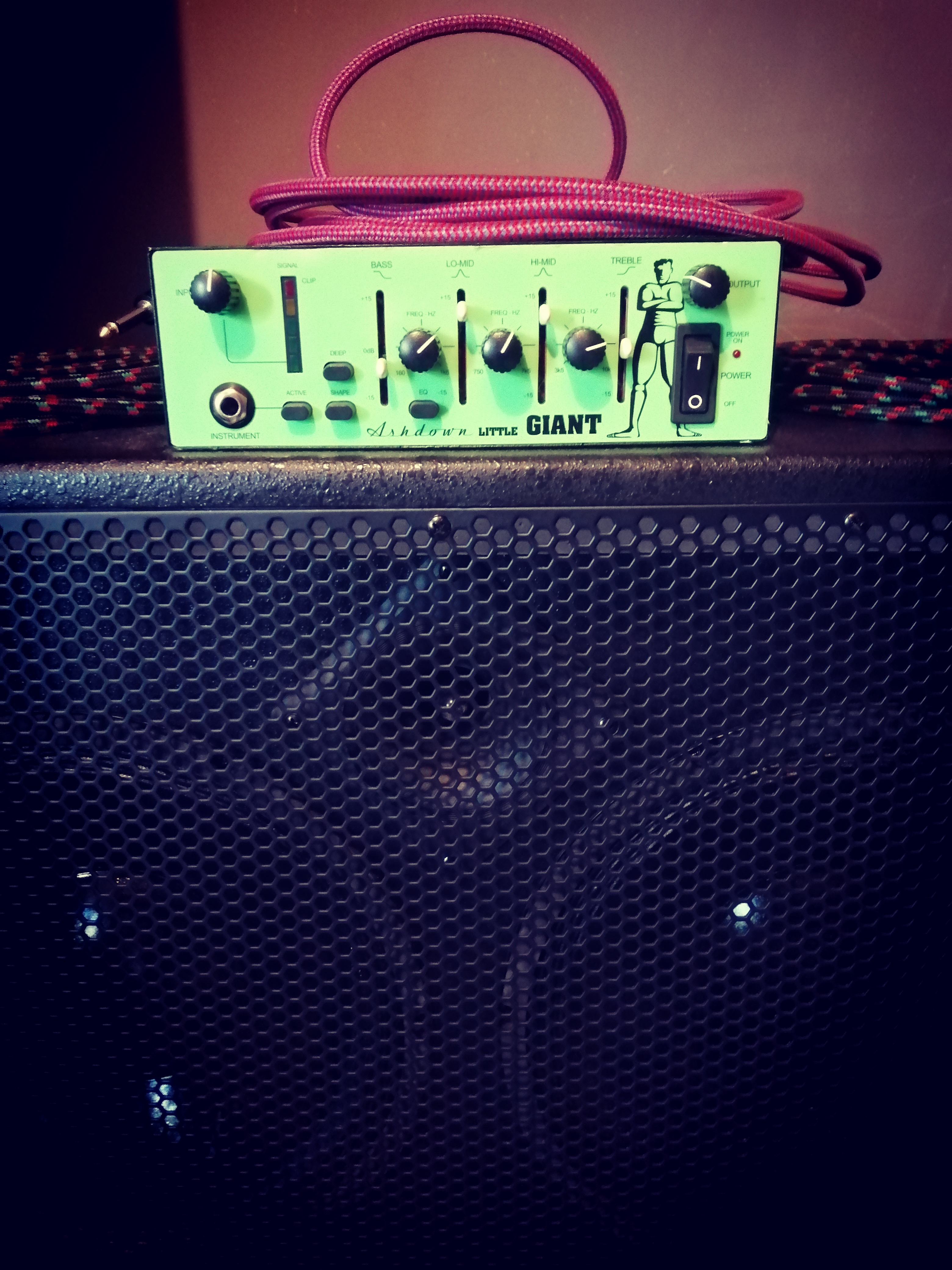 Ashdown Little Giant 350