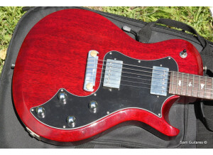 PRS S2 Singlecut Standard (15099)