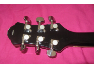 Eastwood Guitars GP (44122)