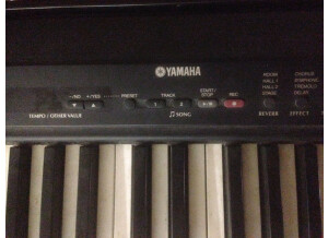 Yamaha P-80 (9573)
