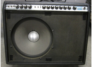 Fender Vibrosonic Reverb (69874)