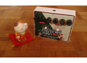 Electro-Harmonix Deluxe Memory Man 550-TT (38062)