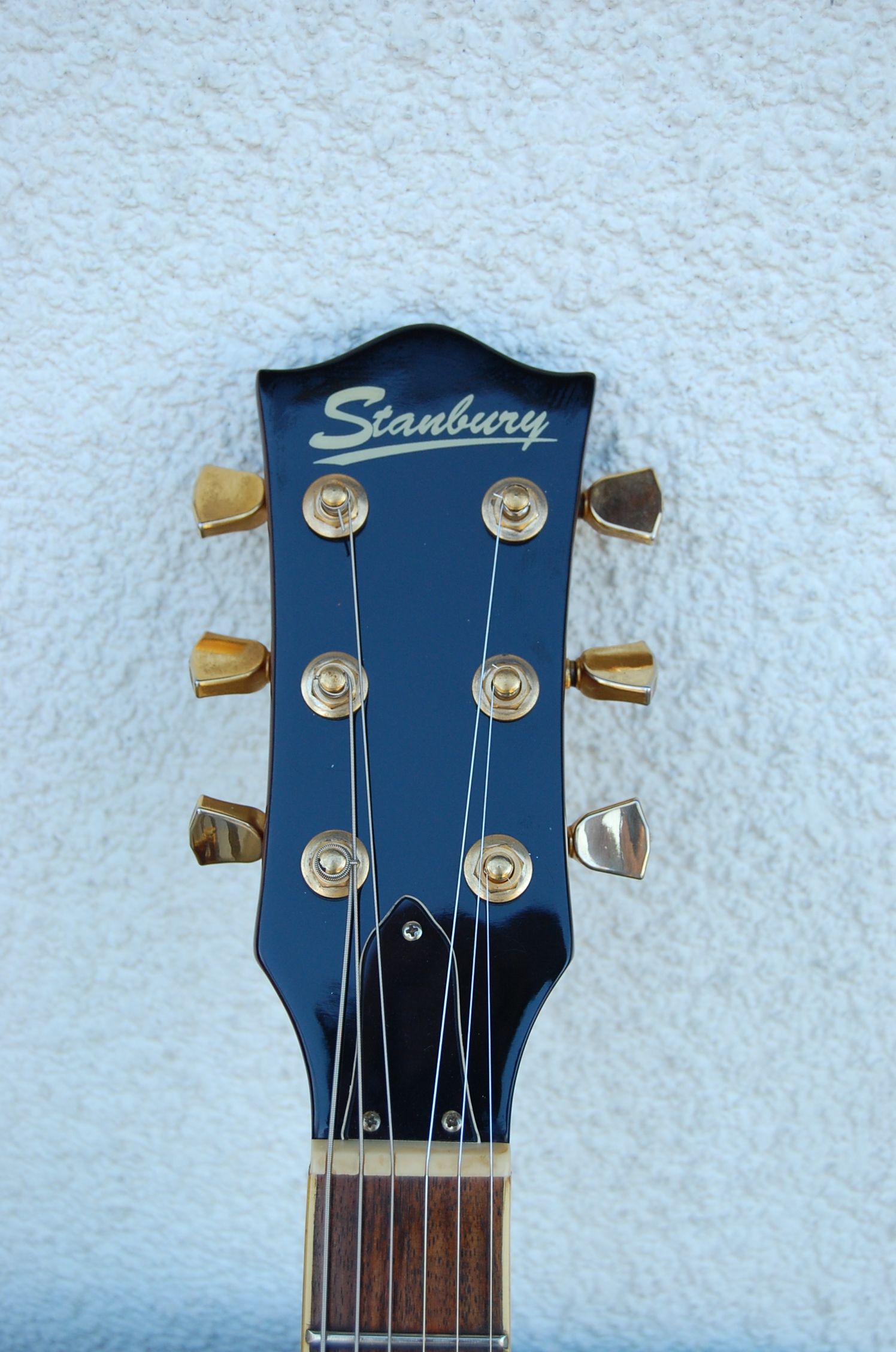 Stanbury Hollow Body forme 335