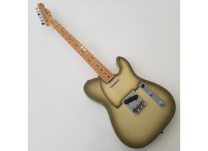 Fender FSR 2012 Standard Telecaster Antigua (25585)