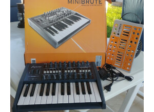 Arturia MiniBrute (93502)