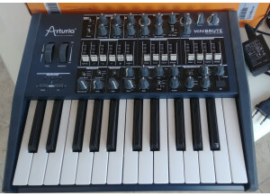 Arturia MiniBrute (91395)