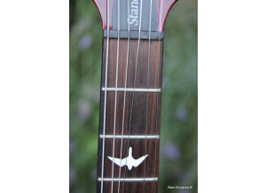 PRS S2 Singlecut Standard (62445)