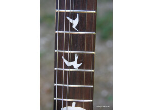 PRS S2 Singlecut Standard (97921)