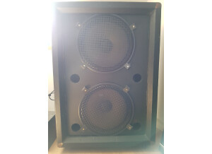 Celestion G15C (61598)