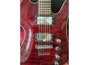 Gibson [Guitar of the Week #39] Les Paul Classic Custom