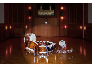 SynchronPercussionII_Drums_700x466