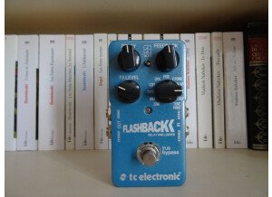 tc-electronic-flashback-3038490