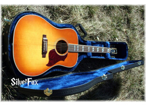Hummingbird Artist Ltd