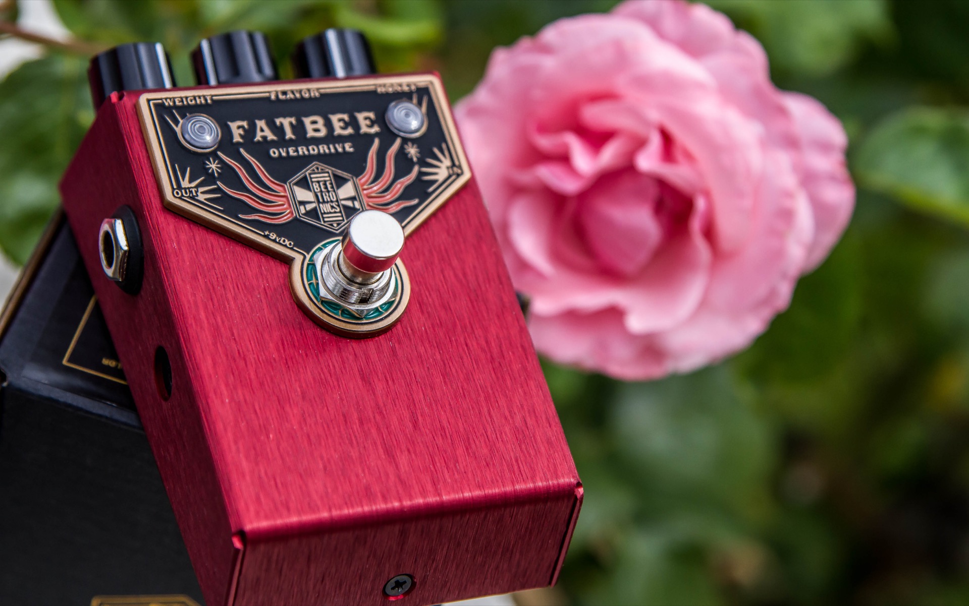 FATBEE OVERDRIVE-8