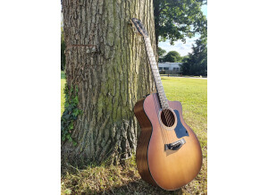 Taylor 114ce (44386)