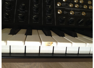 Korg MS-20 Mini (8941)