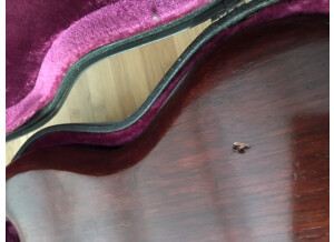 44448F09-3424-4A44-BA7D-70F3BB42D75B