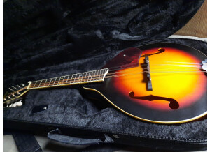 Gretsch G9320 New Yorker Deluxe Mandolin