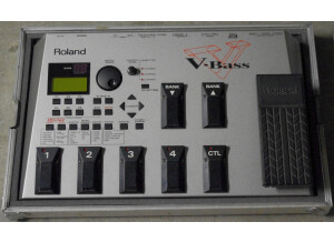 Roland V-Bass (73280)