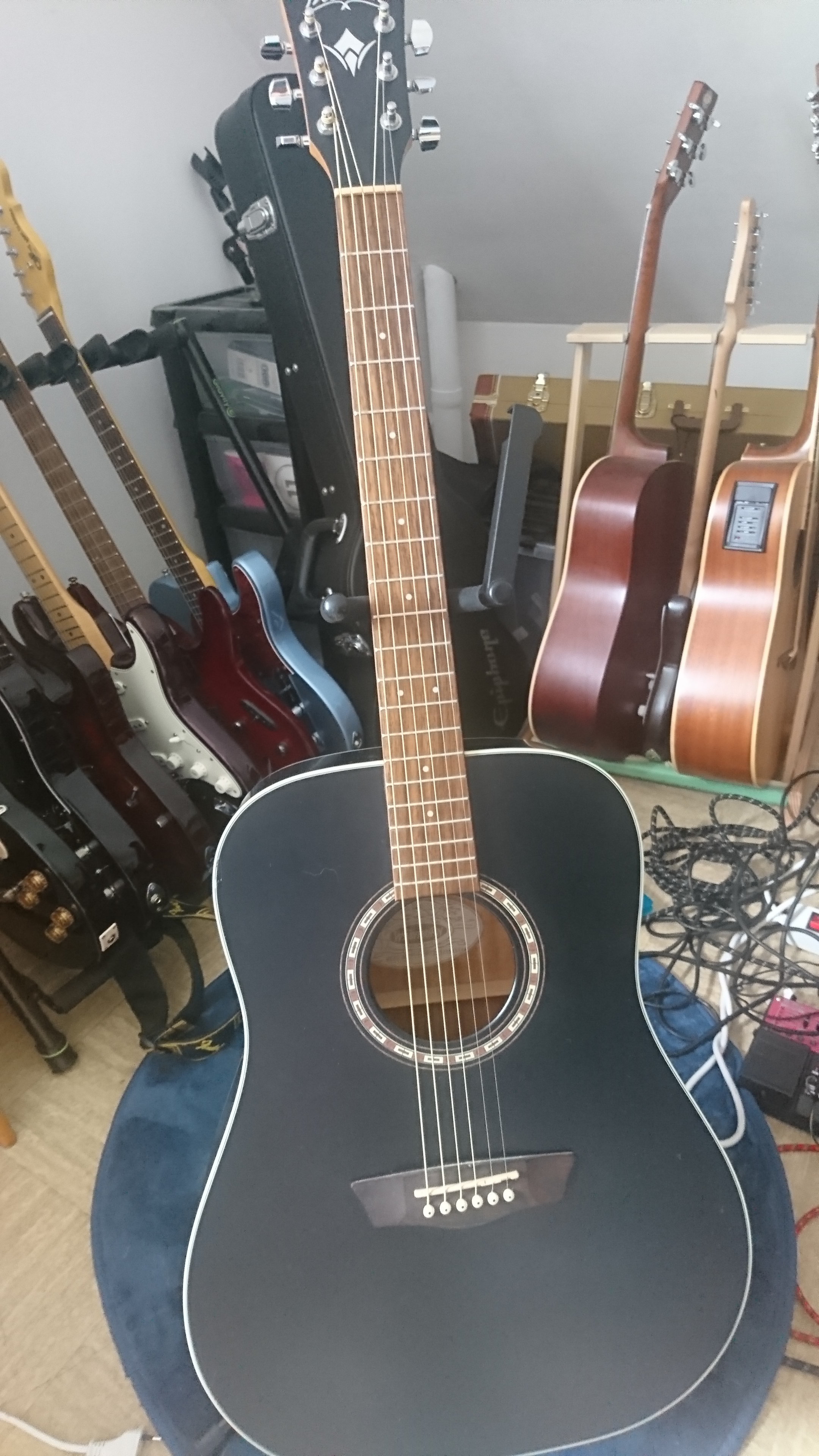 Washburn Harvest D7S