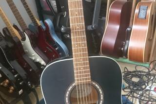 Washburn Harvest D7S