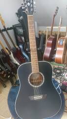 Washburn Harvest D7S