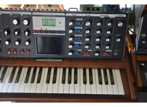 Moog Music Minimoog Voyager Performer Edition (19198)