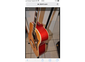 Gibson Dove (53057)