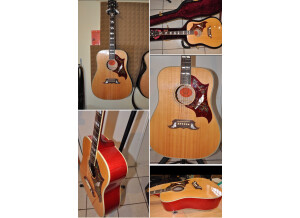 Gibson Dove (9418)