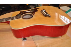Gibson Dove (80876)