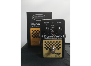 EBS DynaVerb Studio Edition (64784)