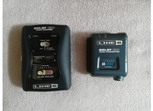 Line 6 Relay G30 (6148)