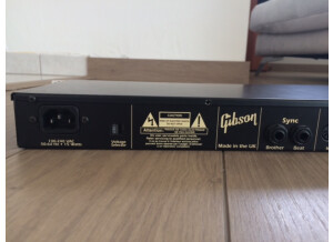 Gibson Echoplex (90647)