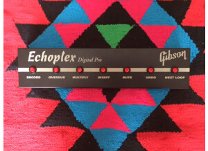 Gibson Echoplex (93992)