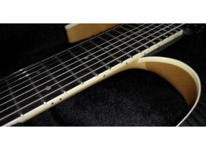 Halo Guitars Merus 8-String