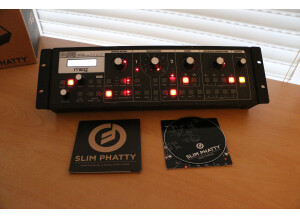 Moog Music SlimPhatty (91643)